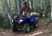 Yamaha Grizzly Yamaha Grizzly